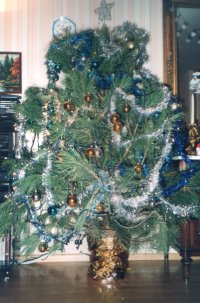 sapin