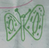 dessin